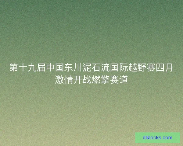 第十九届中国东川泥石流国际越野赛四月激情开战燃擎赛道