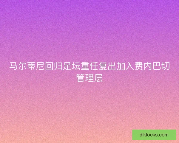 马尔蒂尼回归足坛重任复出加入费内巴切管理层